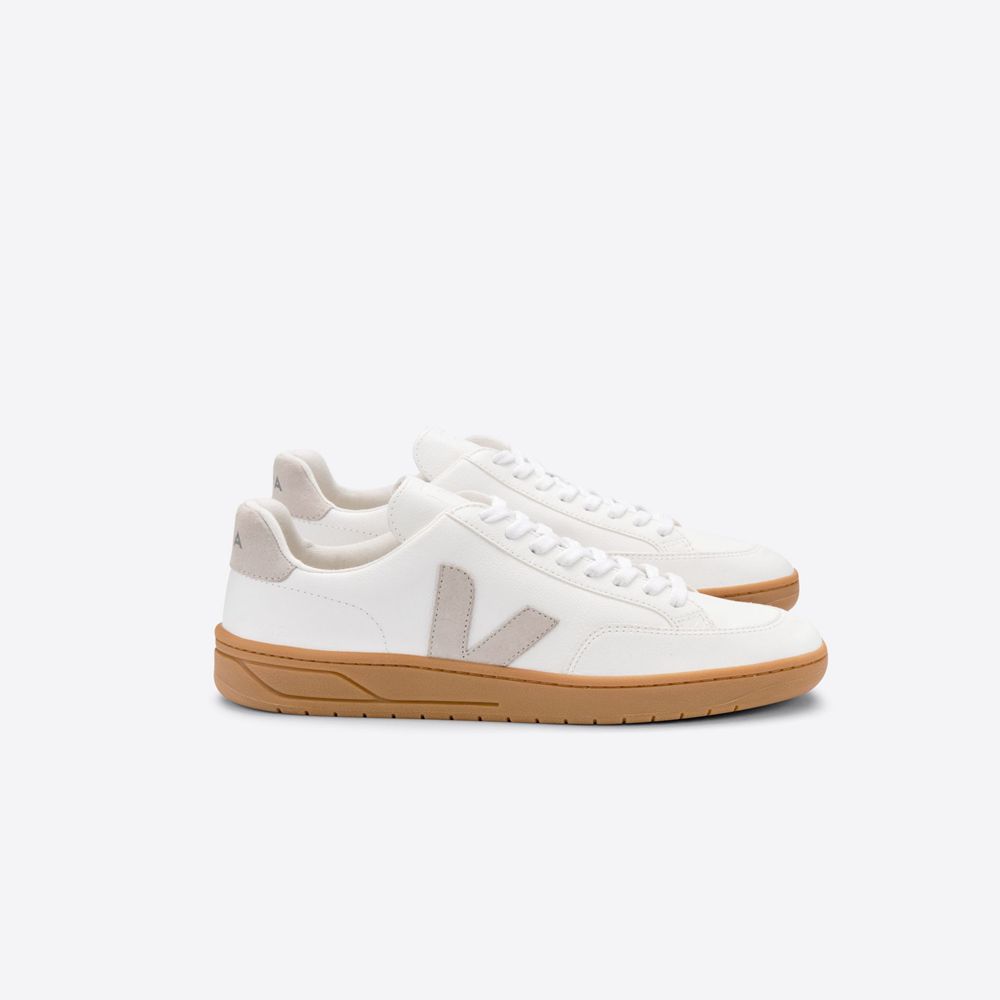 V12 b shop mesh veja
